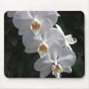 Recherche de orchidée blanche tapis souris Nature