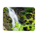 Recherche de enfer magnets Nature