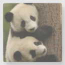 Recherche de panda géant dessous de verres Chine