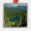Recherche de lac ornements Vert