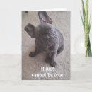 Recherche de chiot toutes vœux cartes Photographie