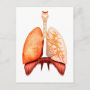 Recherche de trachée posters Larynx