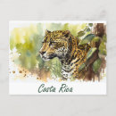 Recherche de jaguar animal cartes postales Chat
