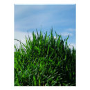 Recherche de arrière plan vert posters Plante