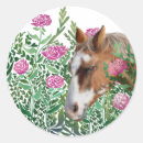 Recherche de appaloosa autocollants Équestre
