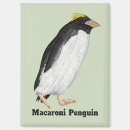 Recherche de amant de nature magnets Oiseau