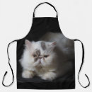 Recherche de chat persan table linges Animal