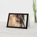 Recherche de oeil de cheval vœux cartes Photographie
