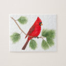 Recherche de cardinal puzzles Illustration