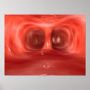 Recherche de physiologie posters Poumon