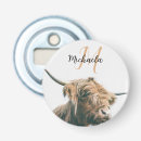 Recherche de vache bar Bétail