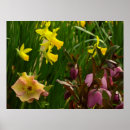 Recherche de lentille posters Printemps
