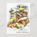 Recherche de noël houx cartes postales Oiseaux