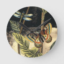 Recherche de vision horloges Insectes