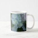 Recherche de hydrangea tasses Nature