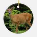 Recherche de cerfs communs ornements Chasseur