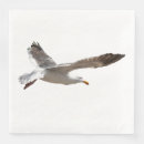 Recherche de crane serviettes Oiseau