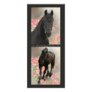 Recherche de cheval frison cartes postales Chevaux