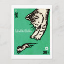 Recherche de jouez avec mon chat Chaton