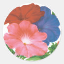 Recherche de pétunia autocollants Floral