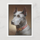 Recherche de portraits animaux cartes postales Vintage