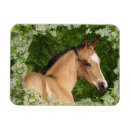 Recherche de imaginaire magnets Fleurs