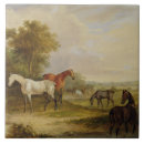 Recherche de étalon carreaux Chevaux