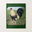 Recherche de volaille de jeu puzzles Oiseau