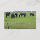 Recherche de photo de cheval cartes visite Animaux