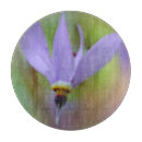 Recherche de fleurs de lavande planches à découper Violet