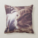 Recherche de somnolent coussins Sommeil