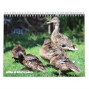Recherche de oiseau calendriers Faune