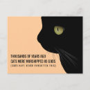 Recherche de chats humoristiques cartes postales Pour elle