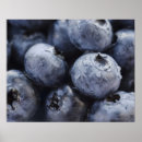Recherche de organe posters Horizontal