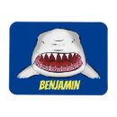 Recherche de grand requin magnets Océan