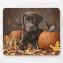 Recherche de chocolat labrador tapis souris Mignon