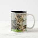 Recherche de minou de minou maison deco Minous