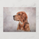 Recherche de dessin beagle cartes postales Chien