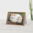 Recherche de chat de comédie Drôle