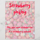 Recherche de fraise prospectus Fruit