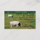 Recherche de vaches laitières cartes visite Pâturage