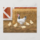 Recherche de poules et poussins cartes postales Animaux de ferme