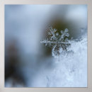 Recherche de snowflake posters Cristal