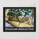 Recherche de corcovado cartes postales Plage