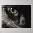 Recherche de chaton noir posters Animal