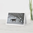 Recherche de vaches vœux cartes Agriculture