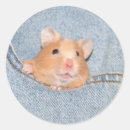 Recherche de bleu de denim photographie Animal