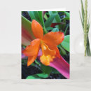 Recherche de orchidée cattleya vœux cartes Botanique