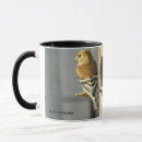 Recherche de canaris tasses Finition