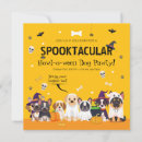 Recherche de français bouledogue invitations Dogs